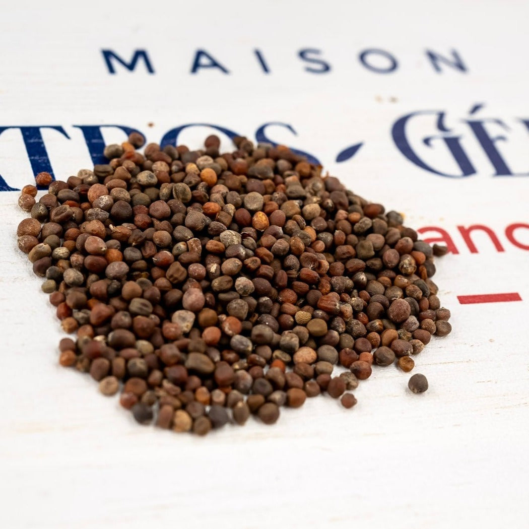 Photo de la contenance sachet des graines du chou milan de la saint jean