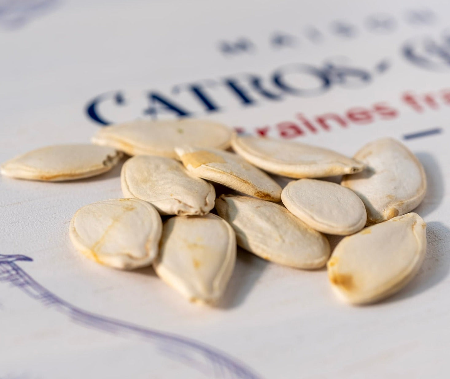 photo de la contenance sachet de la courge galeuse d'eysines. graines