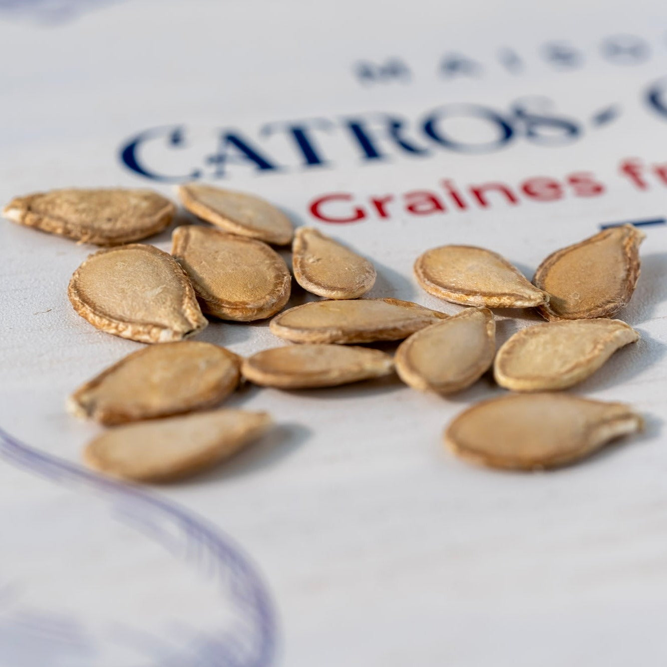 Photo de la contenance sachet des graines de courge musquée de Provence