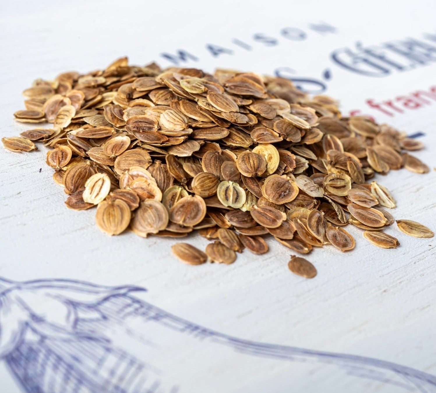 photo de contenance sachet de graine de panais demi-long de Guernesey