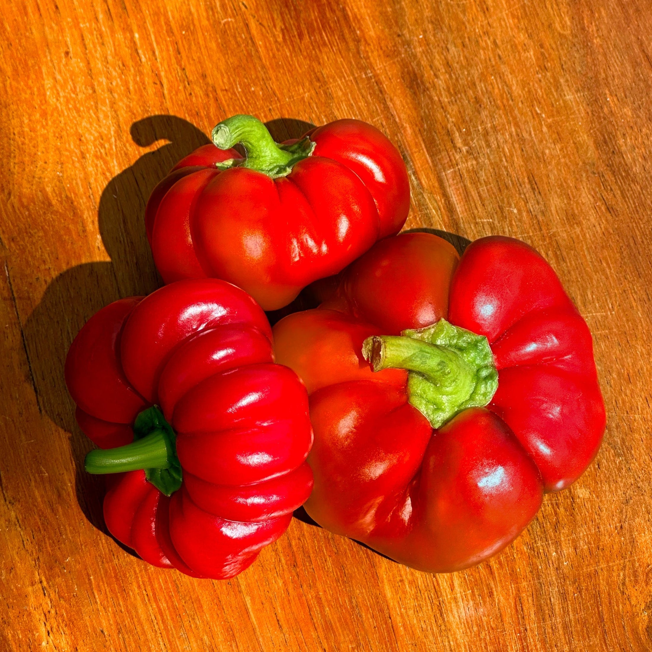 Poivron tomate
