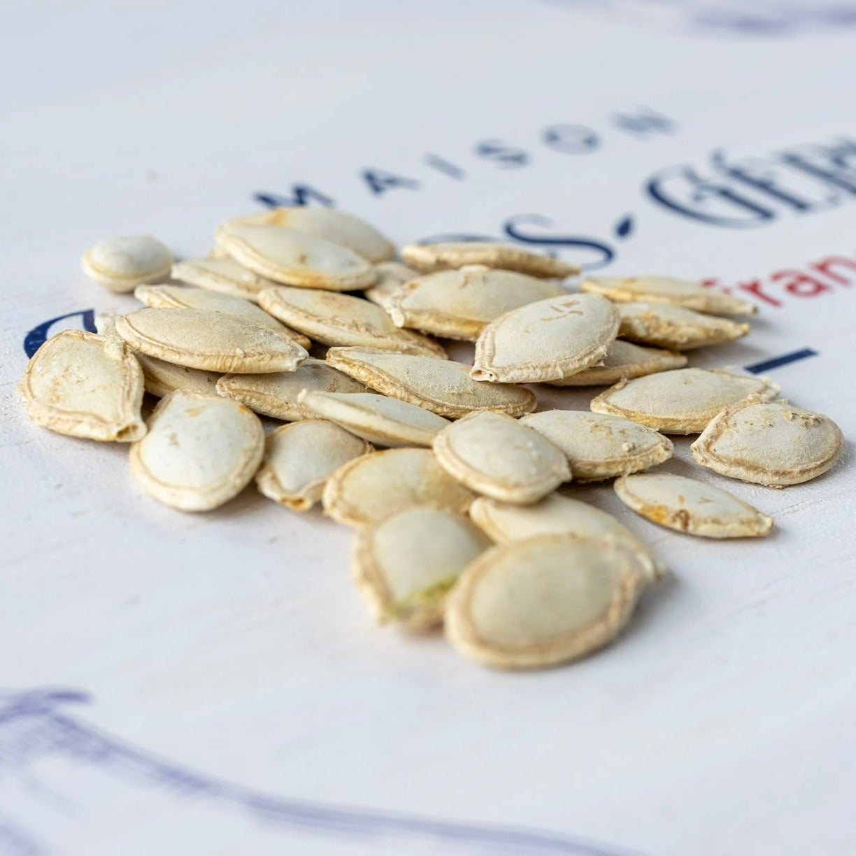 photo de la contenance sachet de graines de la courgette grisette de provence