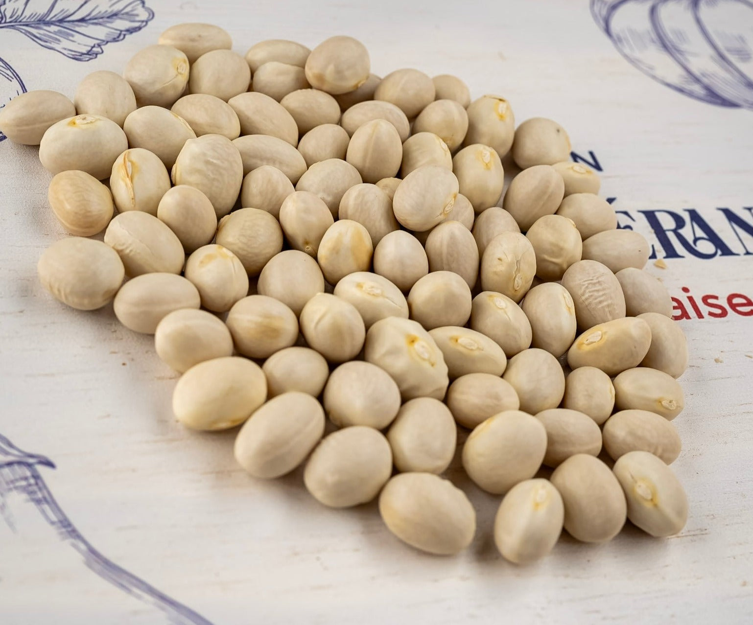 photo de contenance sachet de graines du haricot nain à écosser COCO blanc précoce