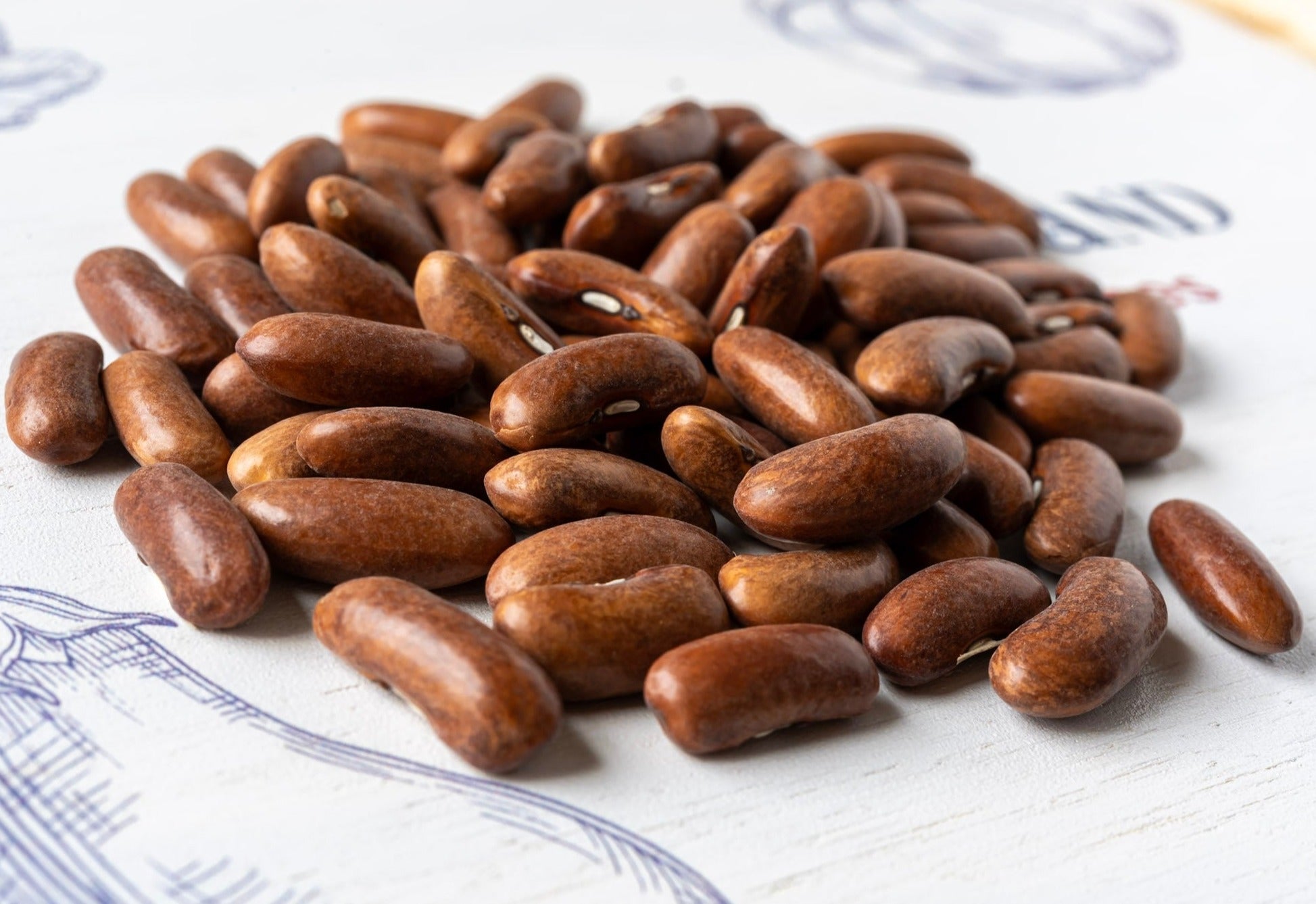 photo de contenance sachet de graine de haricot nain contender