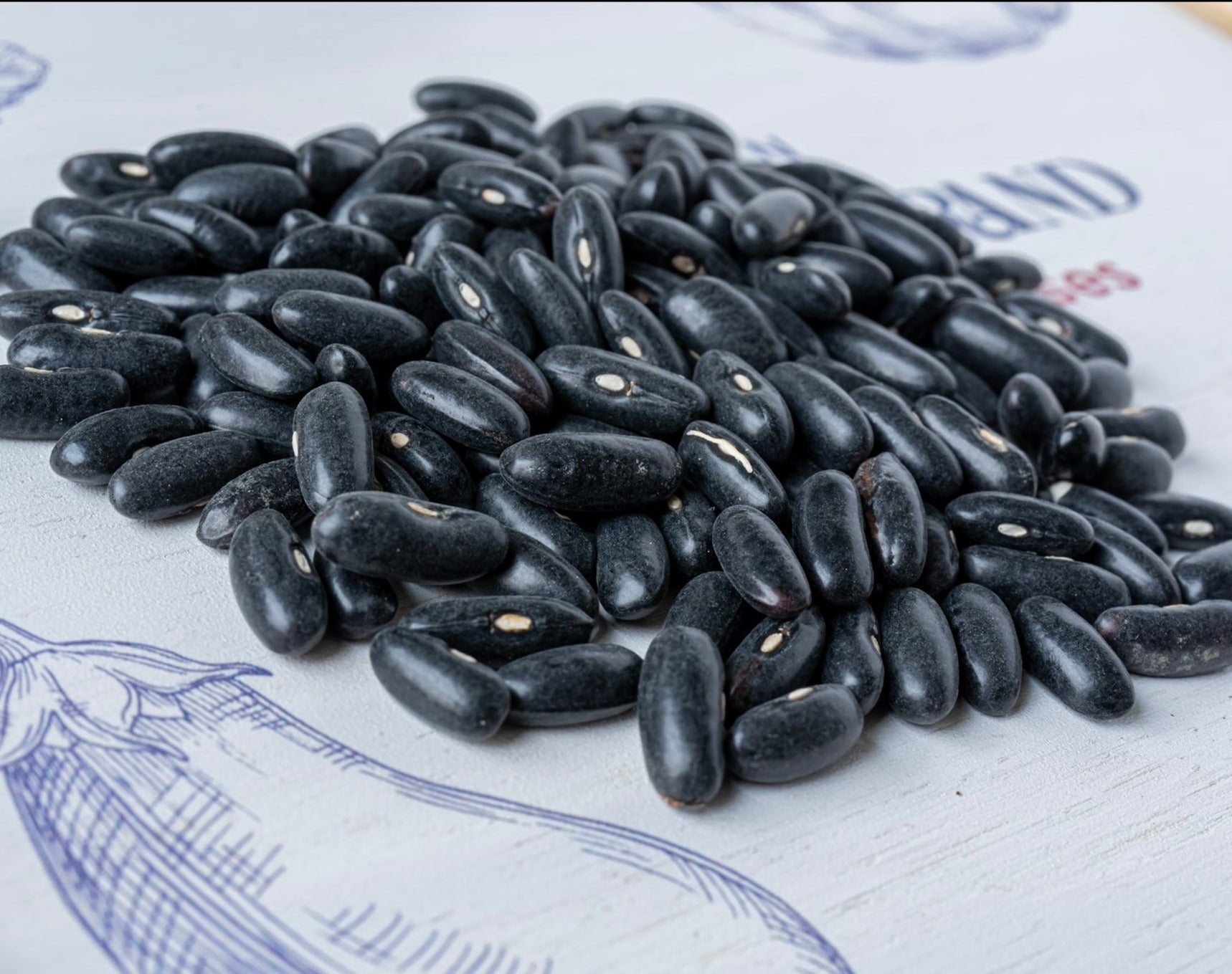 photo de contenance sachet de graine de haricot nain emeraude