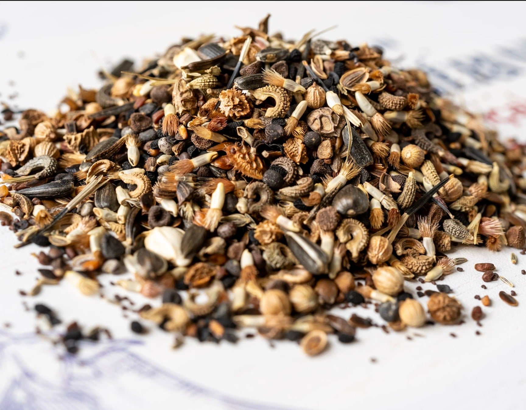 Jachère fleurie Biodiversité