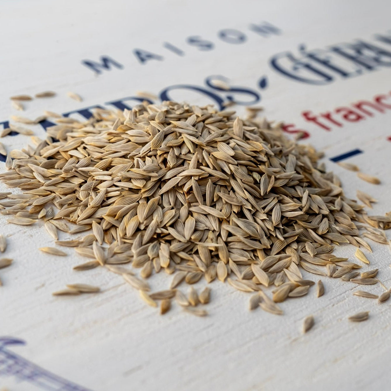 photo de contenance de sachet de graine de laitue appia