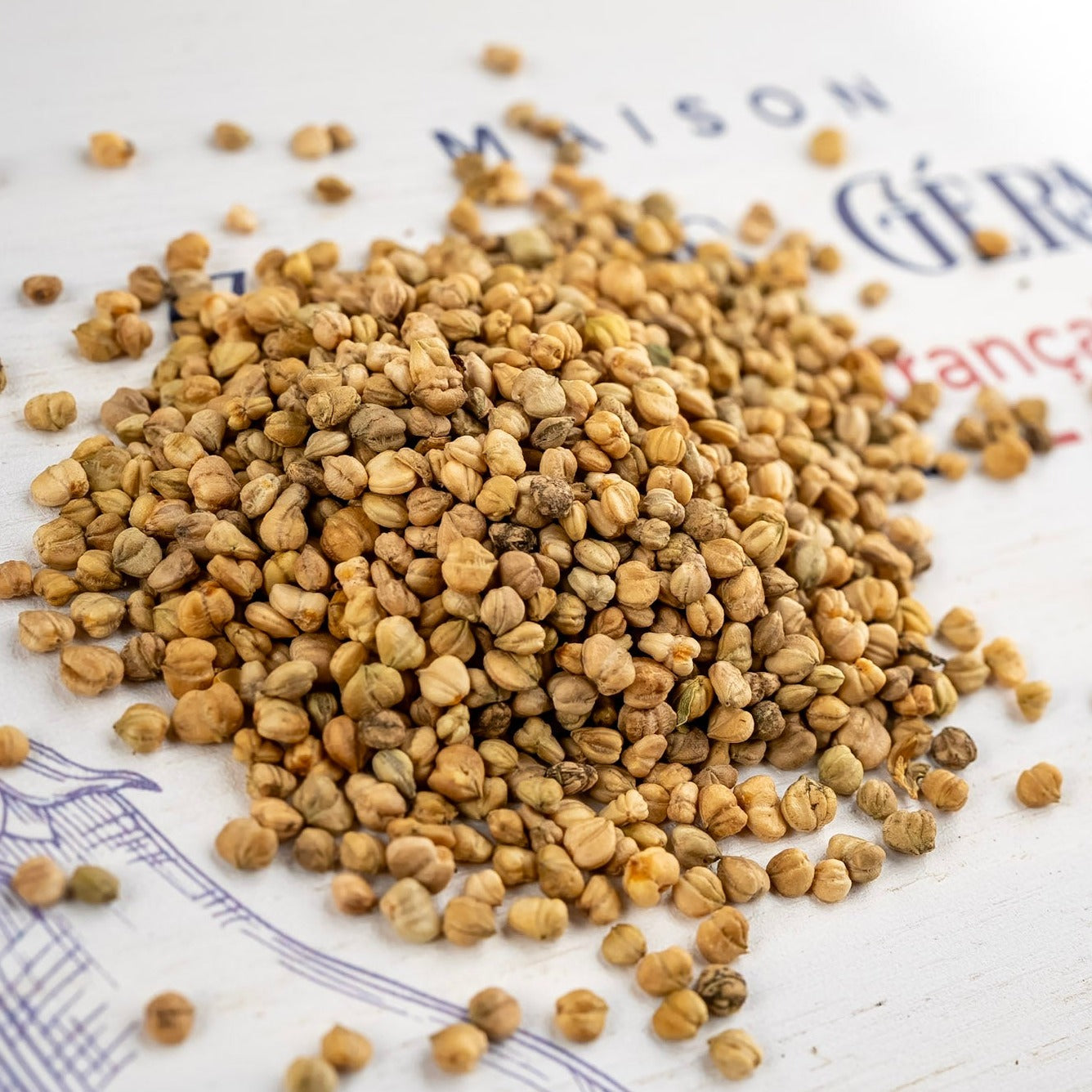 photo de la contenance sachet de graines de mache à grosse graine