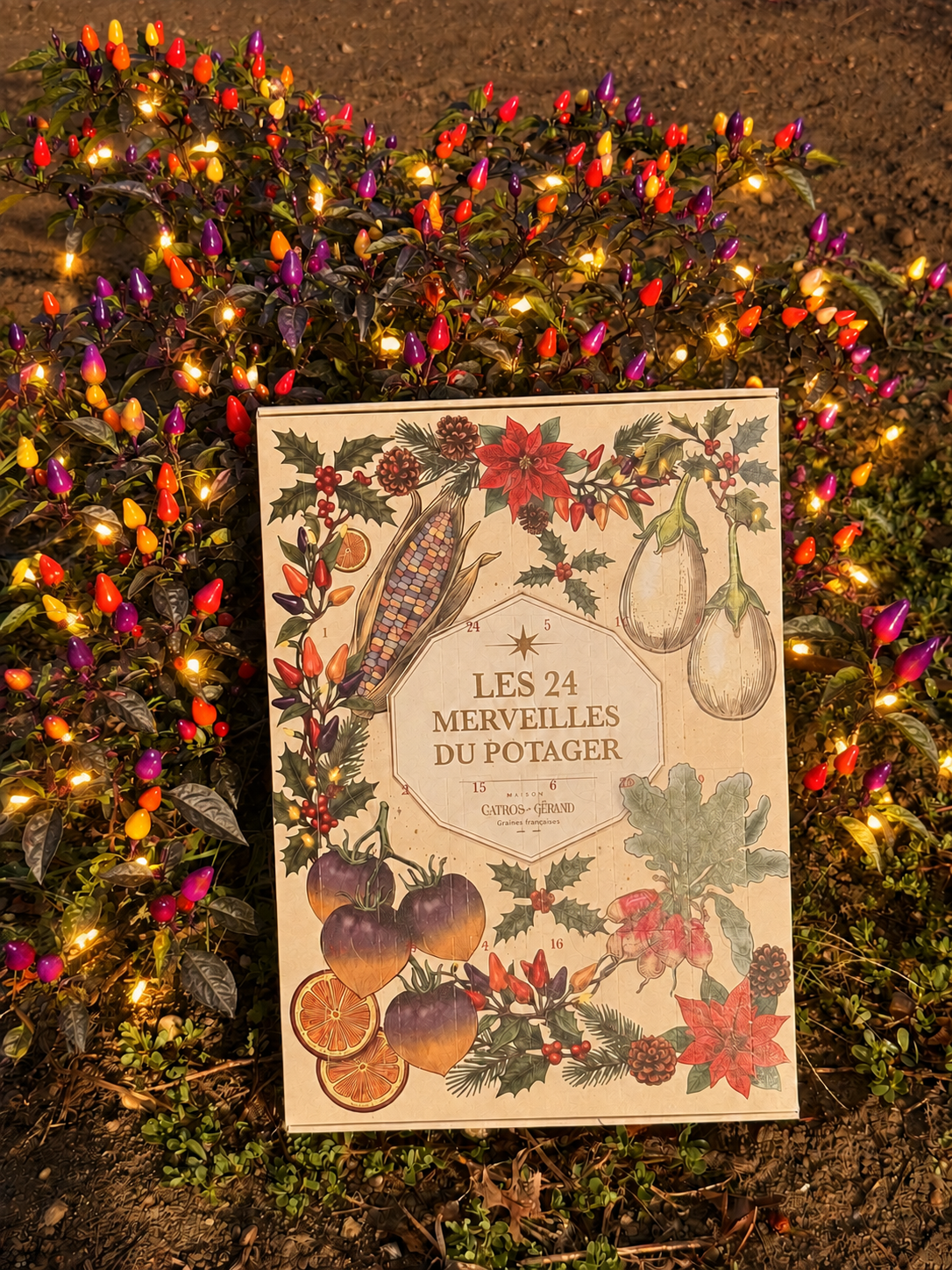Calendrier de l'Avent: les 24 merveilles du potager
