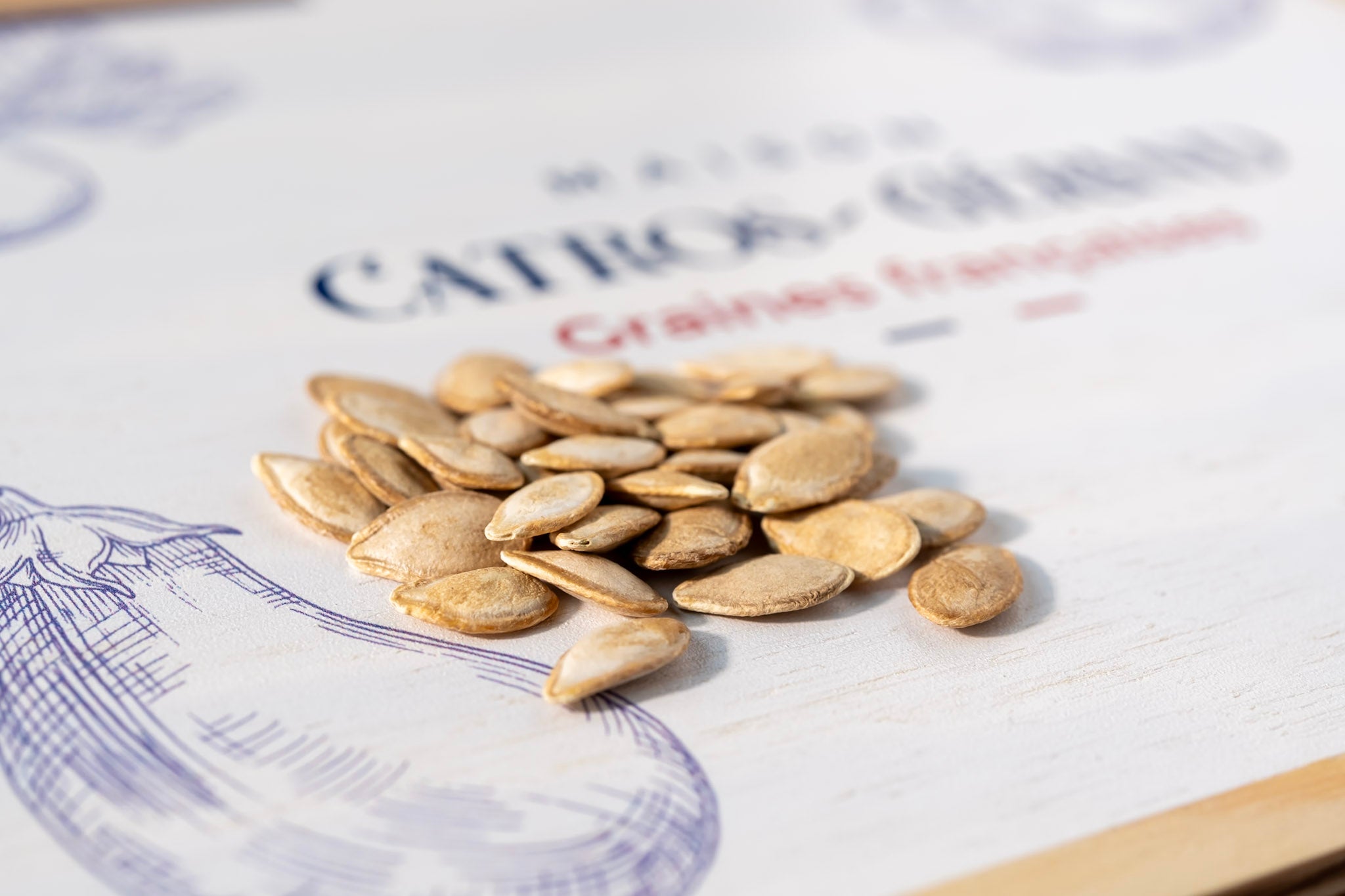 Courge musquée sucrine du Berry