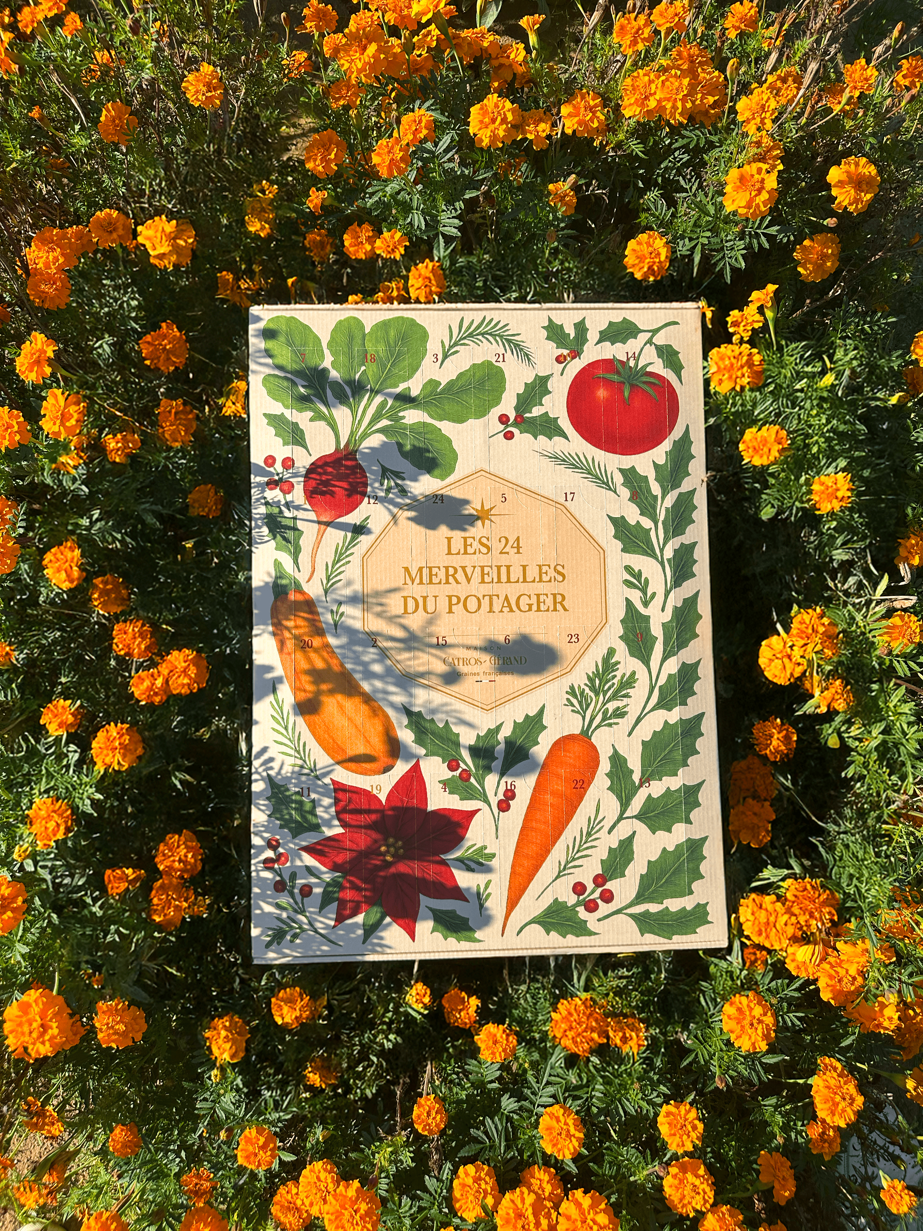 Calendrier de l'Avent: les 24 merveilles du potager