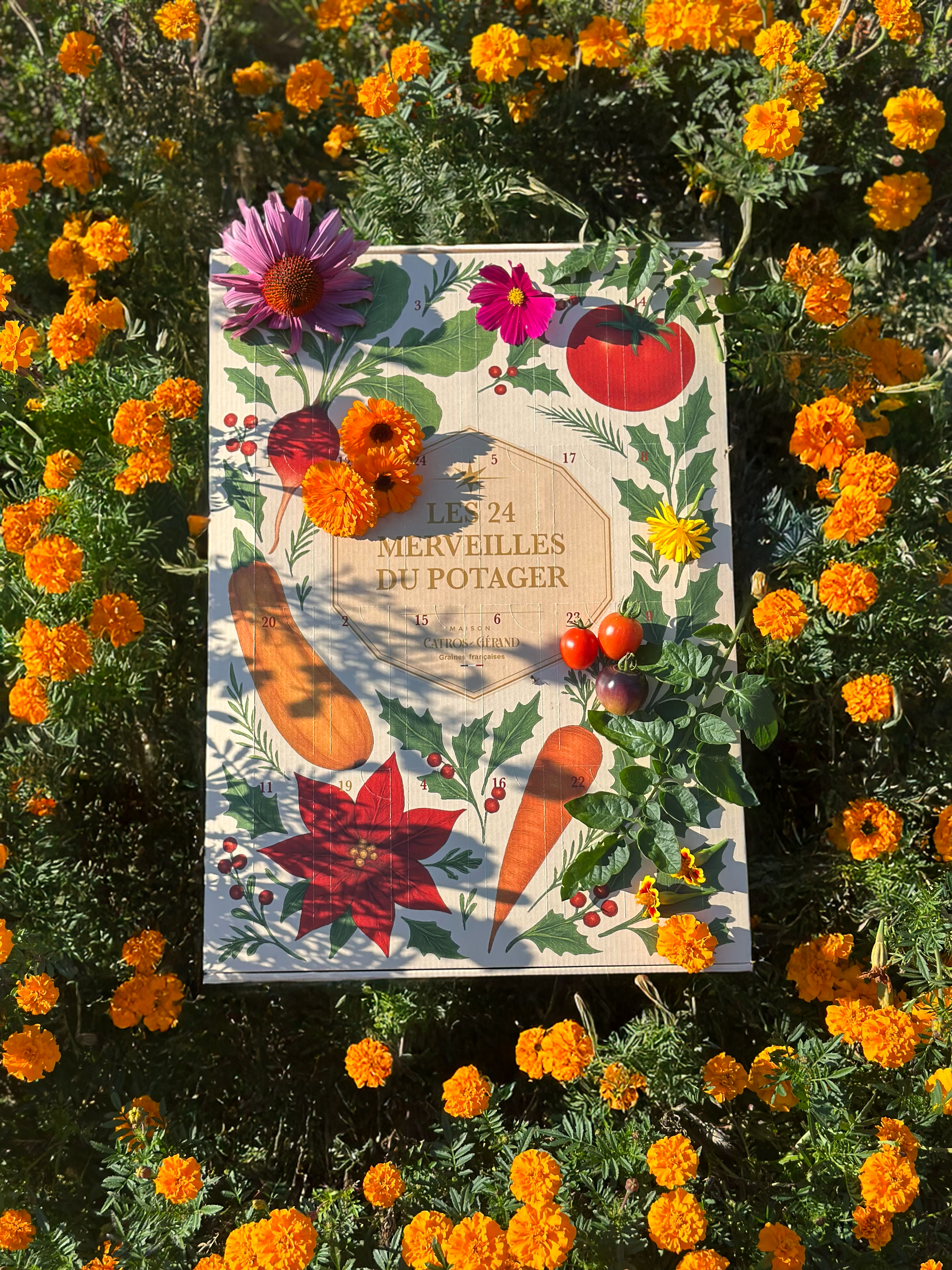 Calendrier de l'Avent: les 24 merveilles du potager