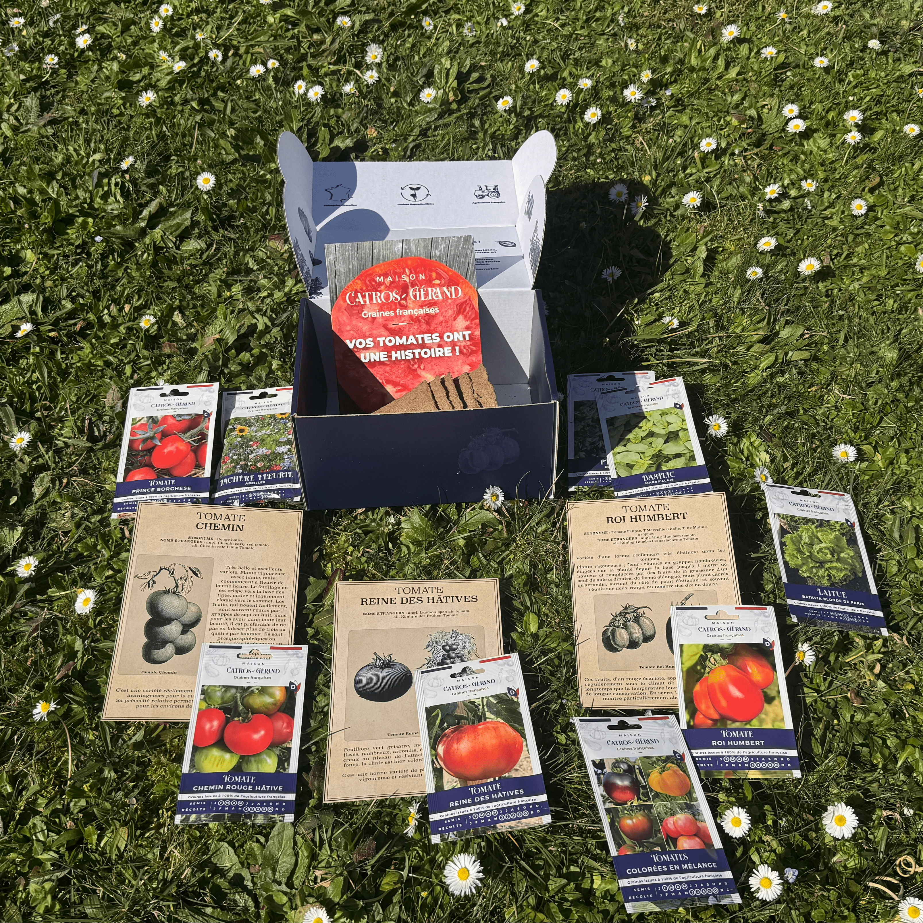 Coffret de Tomates Anciennes