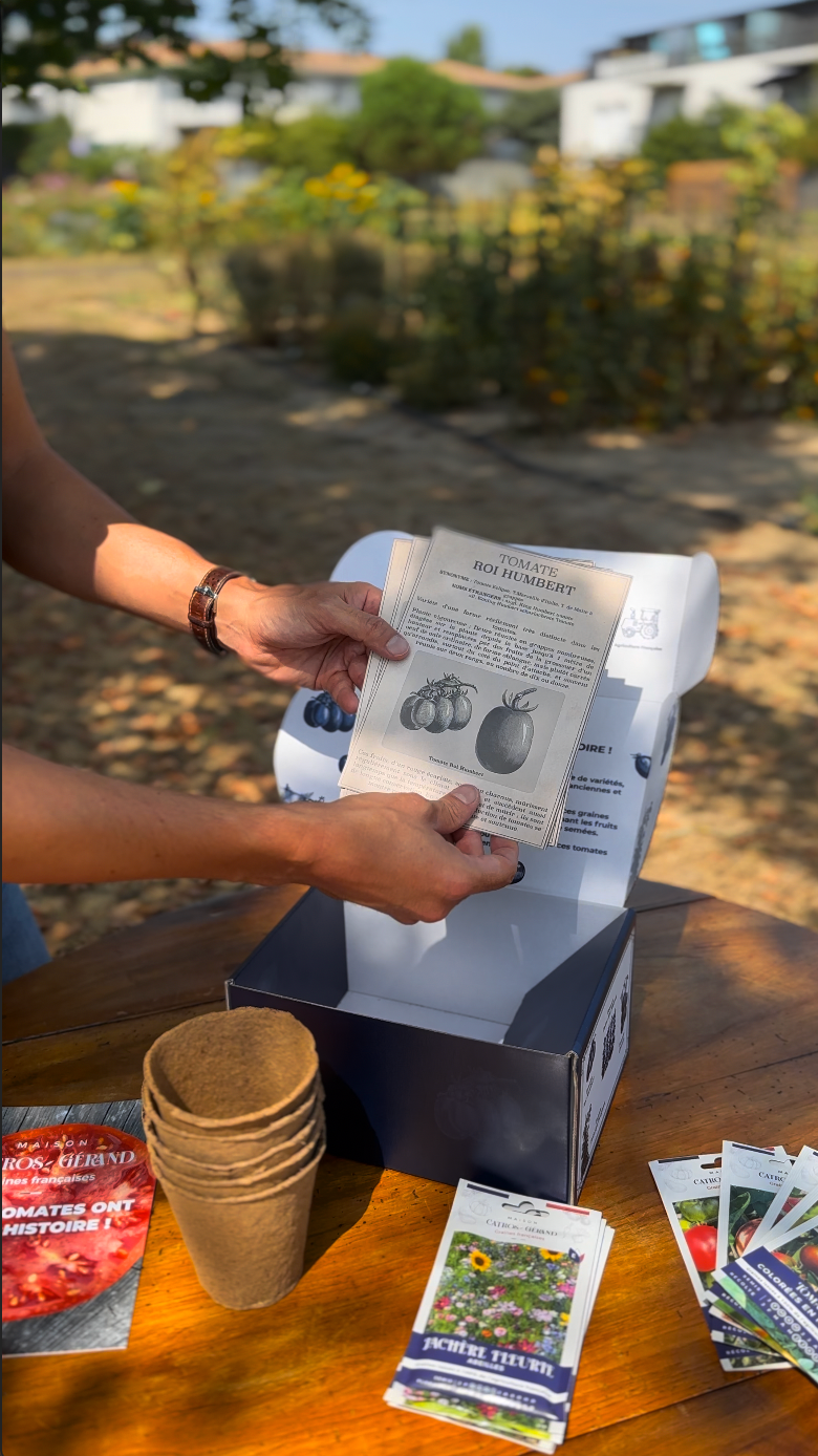 Coffret de Tomates Anciennes