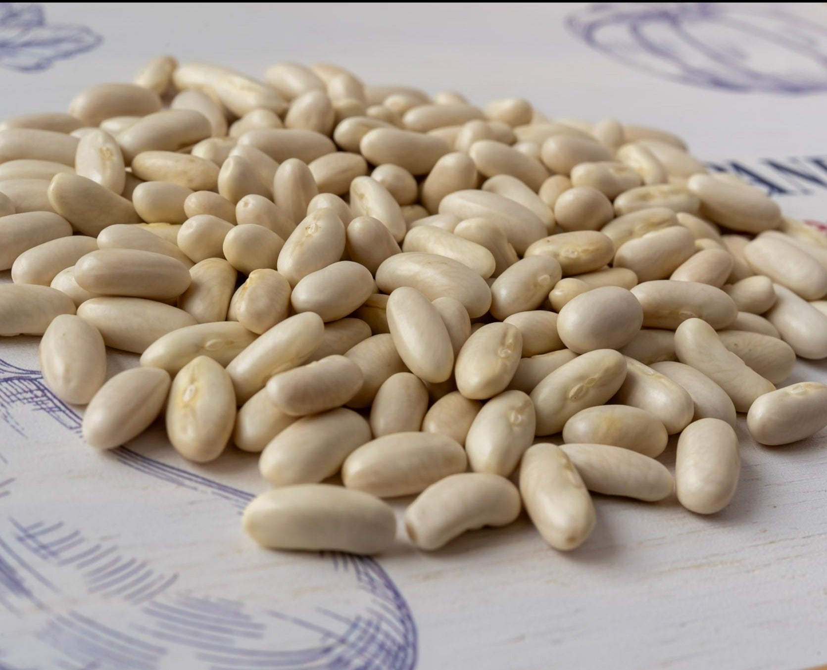photo de contenance sachet de graine de haricot nain sancoucy