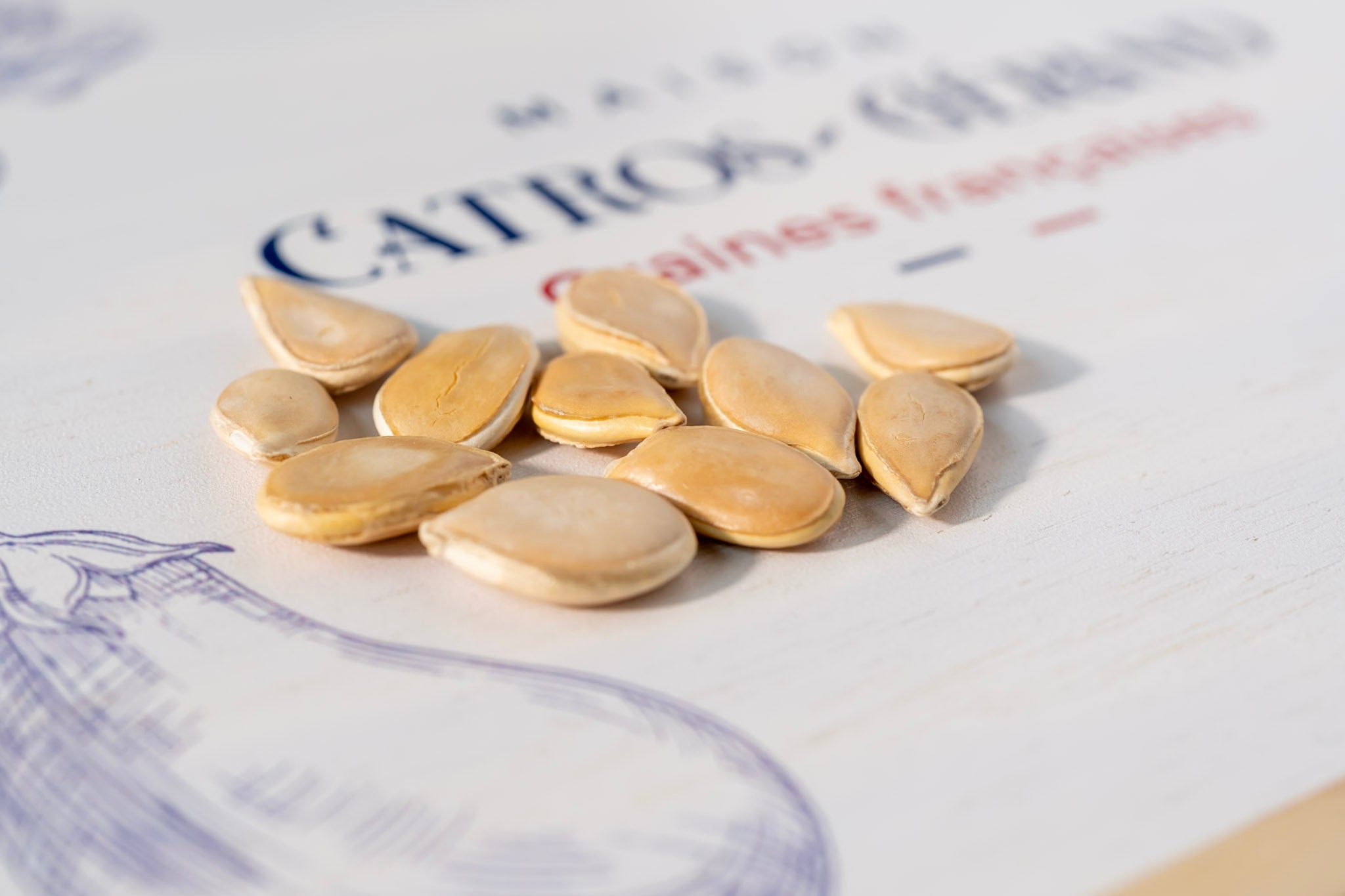 Potiron rouge vif d'Etampes